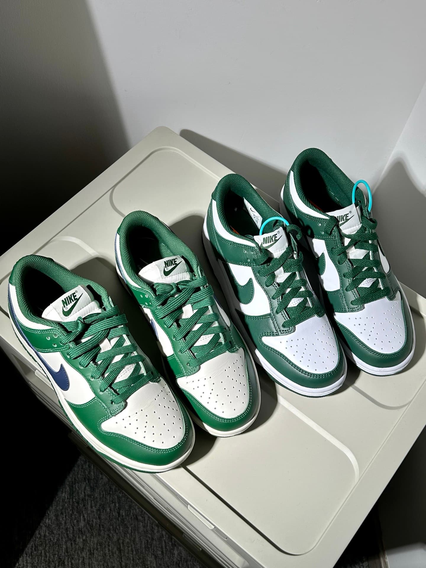 Nike Dunk Low Retro "Varsity Green" - фото покупателя Владислав