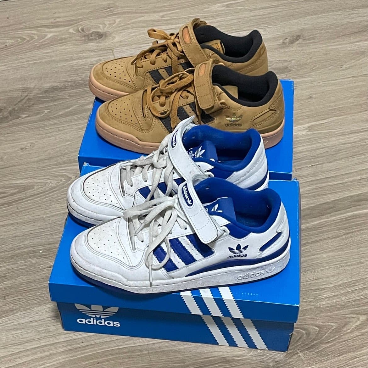 adidas originals Forum Low Cloud White/Cloud White/Royal Blue - фото покупателя Владимир