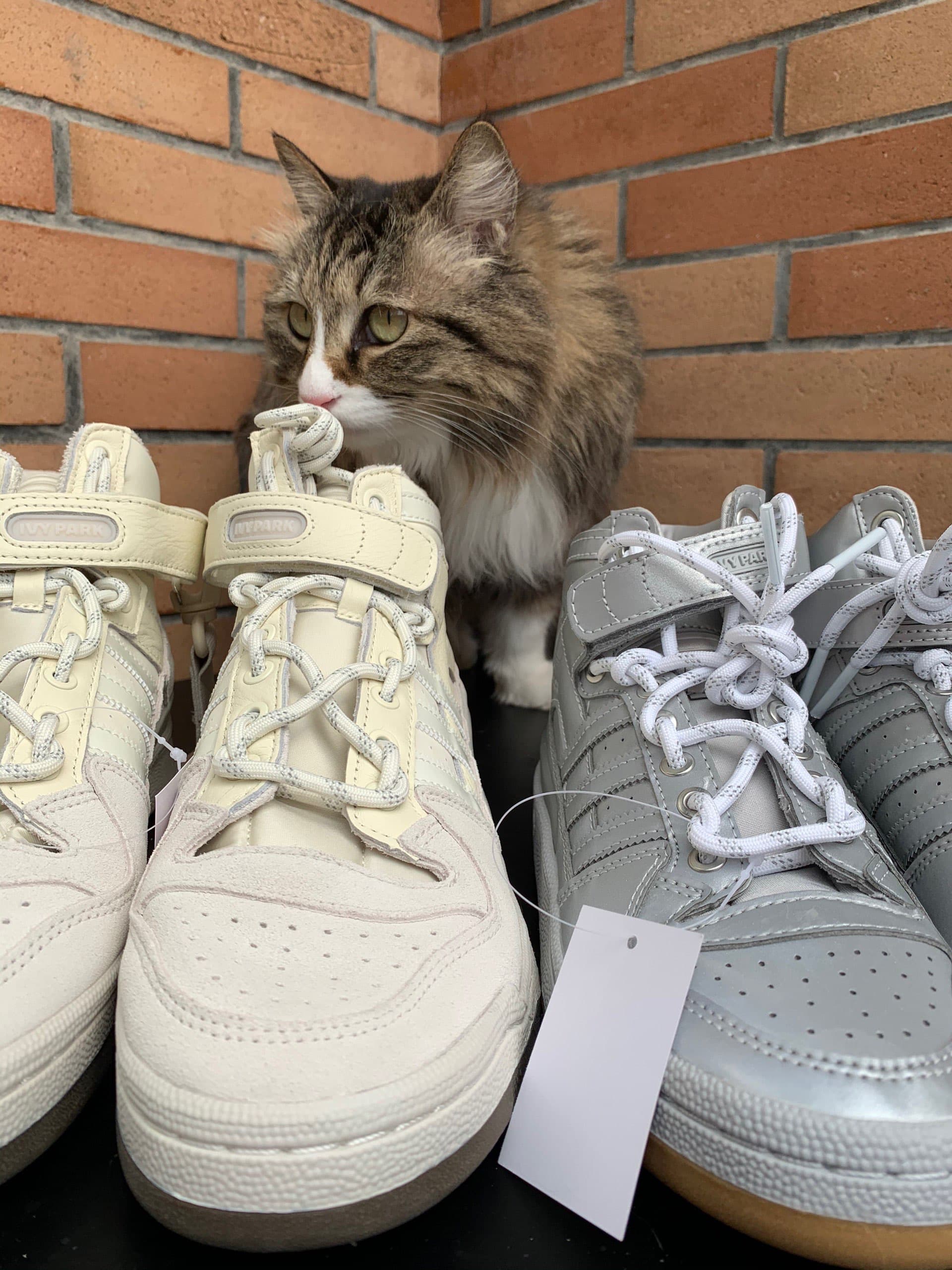Ivy Park x adidas originals FORUM Mid "Icy Park" - фото покупателя Женя