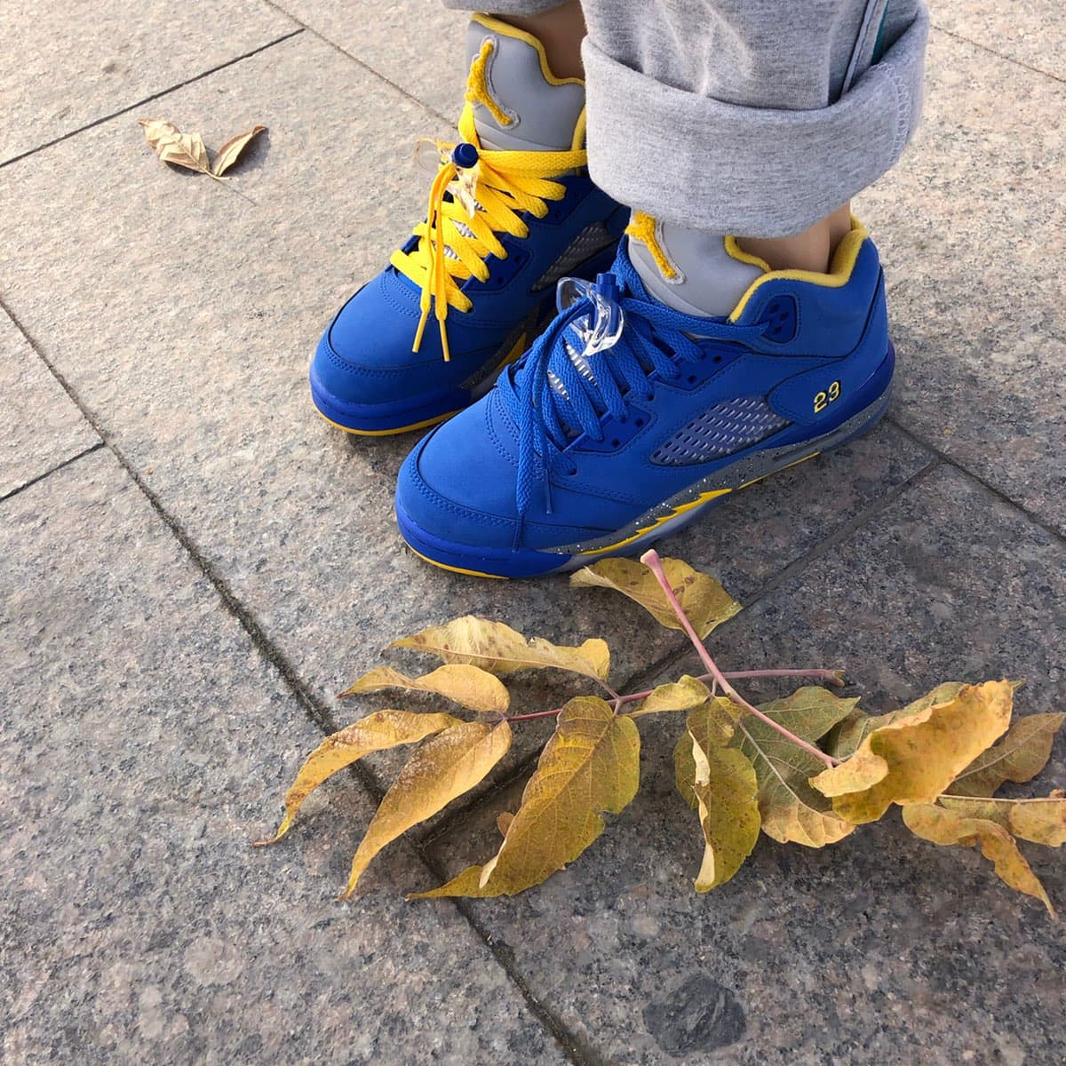 Jordan Air Jordan 5 Retro GS Laney - фото покупателя Лилия