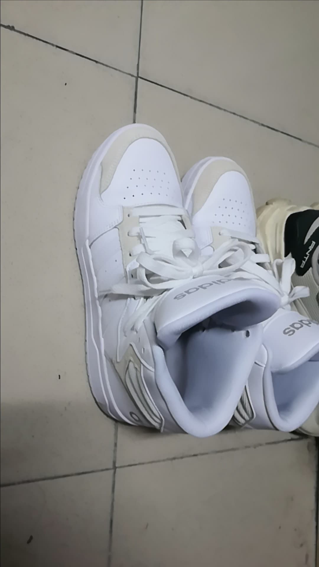 adidas neo Entrap Mid White Dove Grey Cloud - фото покупателя Леонид