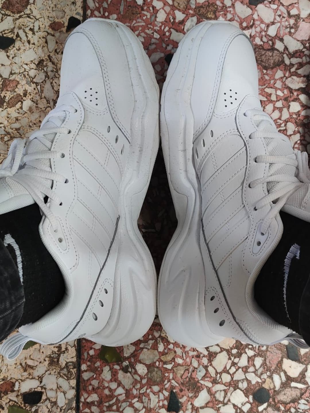adidas neo Strutter - фото покупателя Михаил