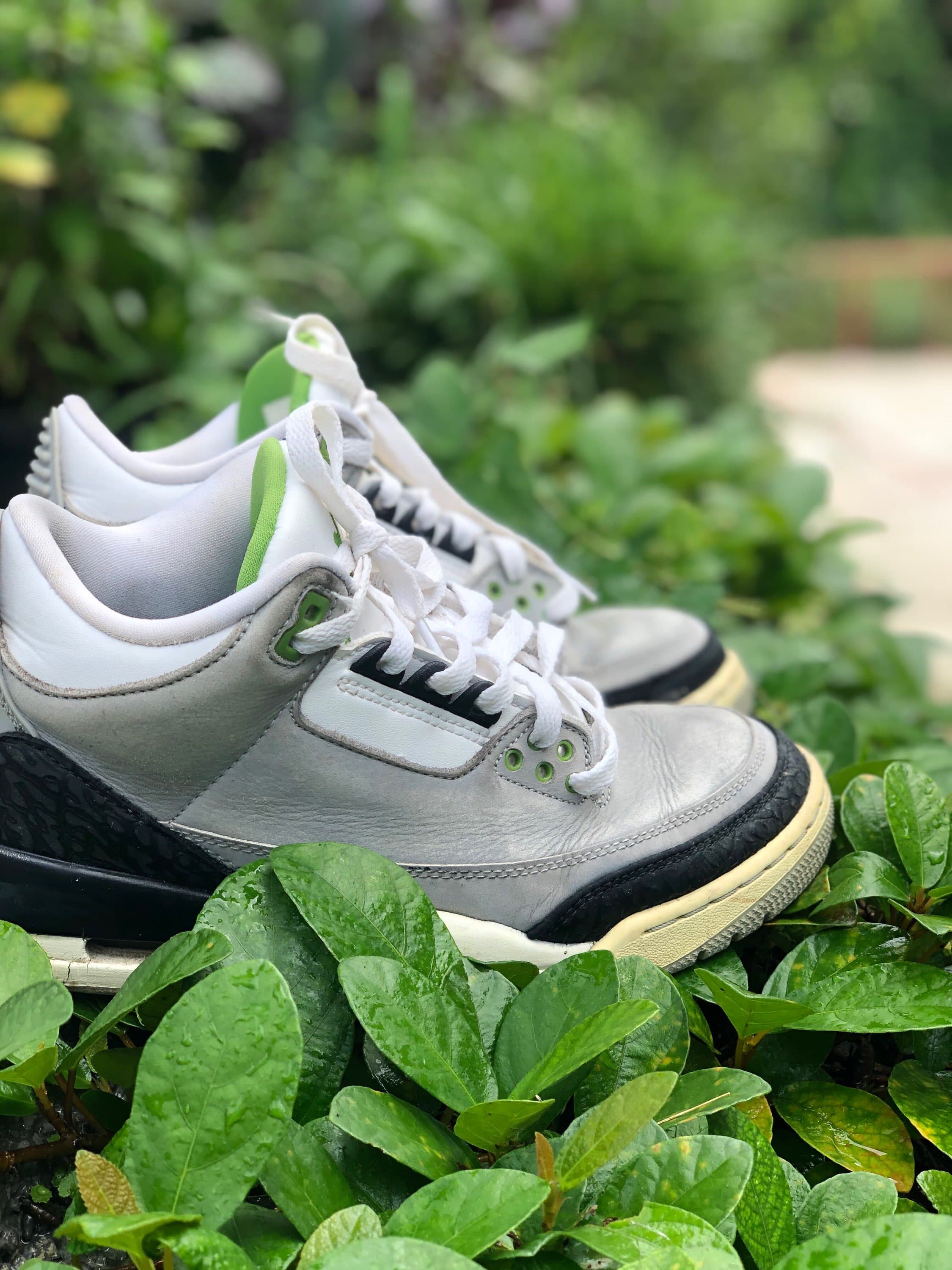Jordan Air Jordan 3 retro chlorophyll - фото покупателя Лев