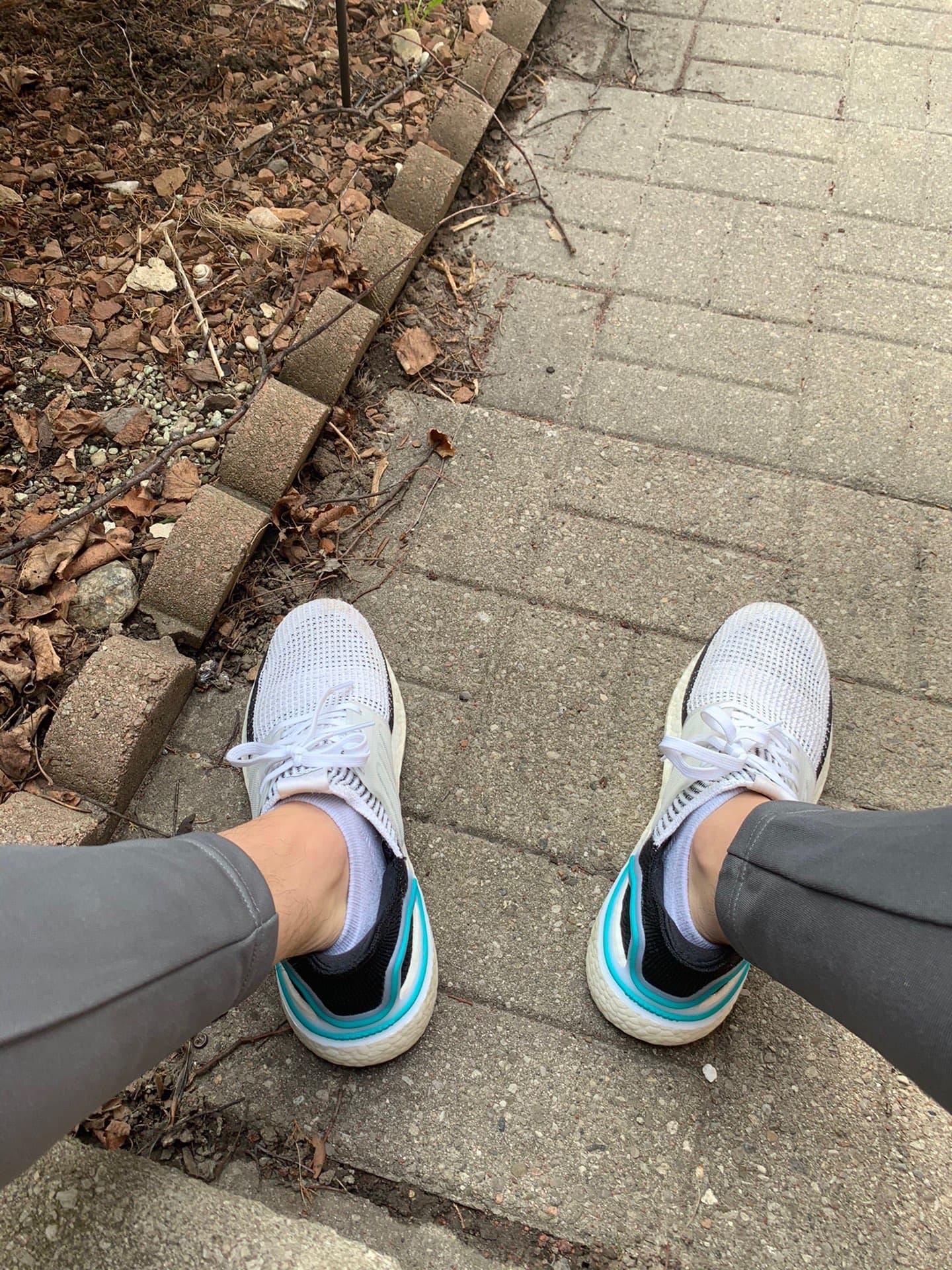 adidas Ultra Boost 19 White Royal - фото покупателя Ольга