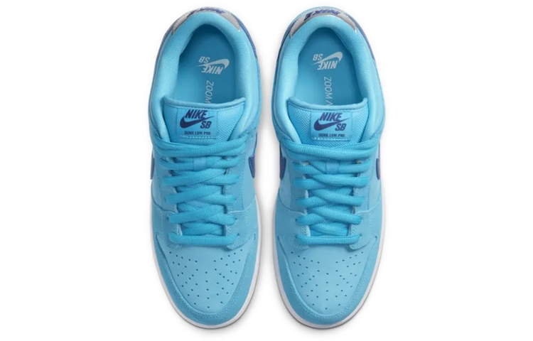 Nike Dunk SB Pro "blue fury" - вид сзади