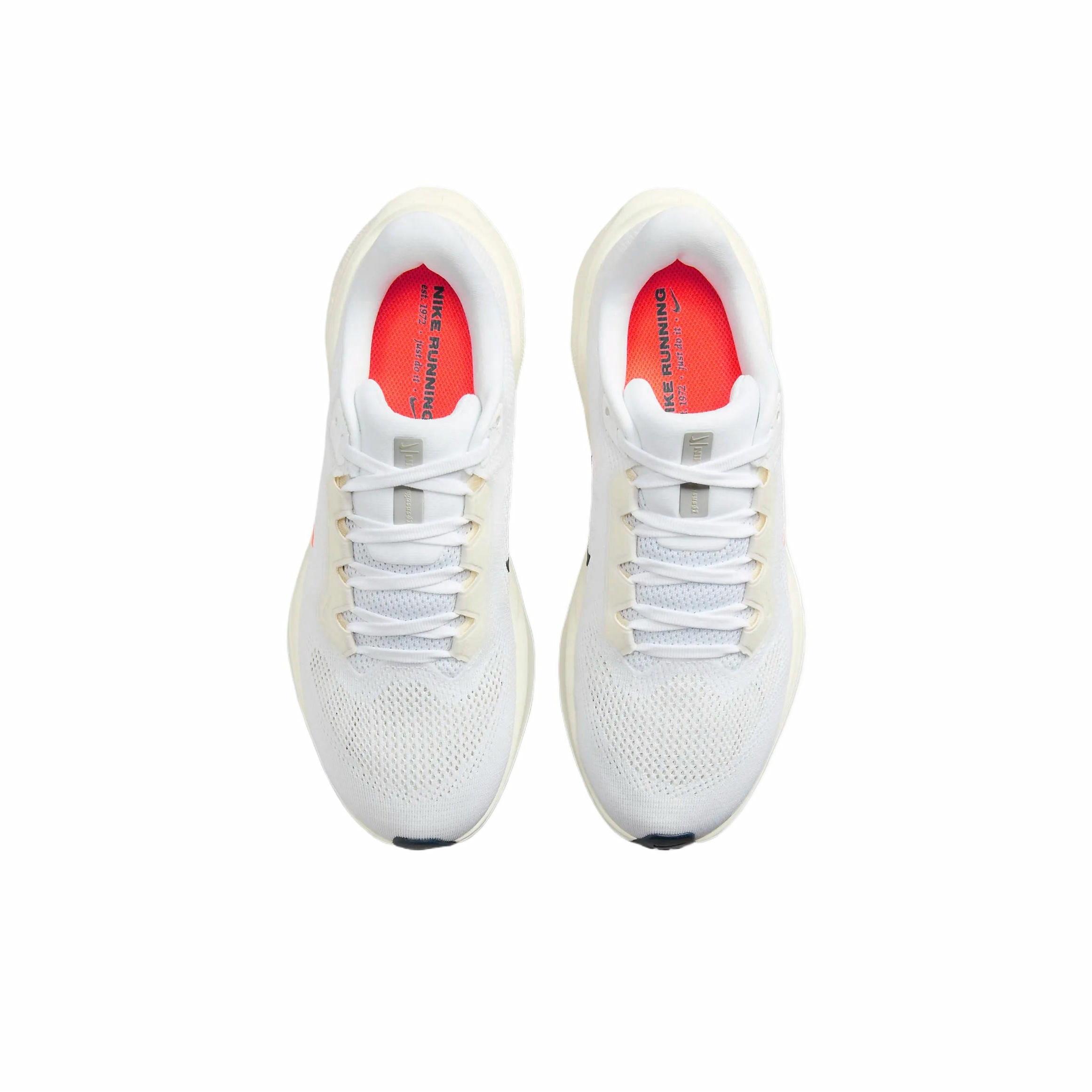 Nike Air Zoom Pegasus 41 PQ Anniversary - вид сзади