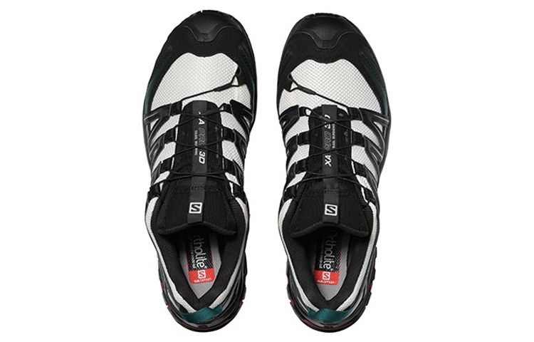 SALOMON XA Pro 3D Vanilla Ice Ponderosa Pine - вид спереди