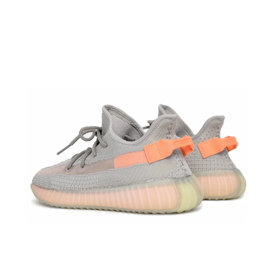 adidas originals Yeezy Boost 350 V2 3.0 "True Form" - rear view