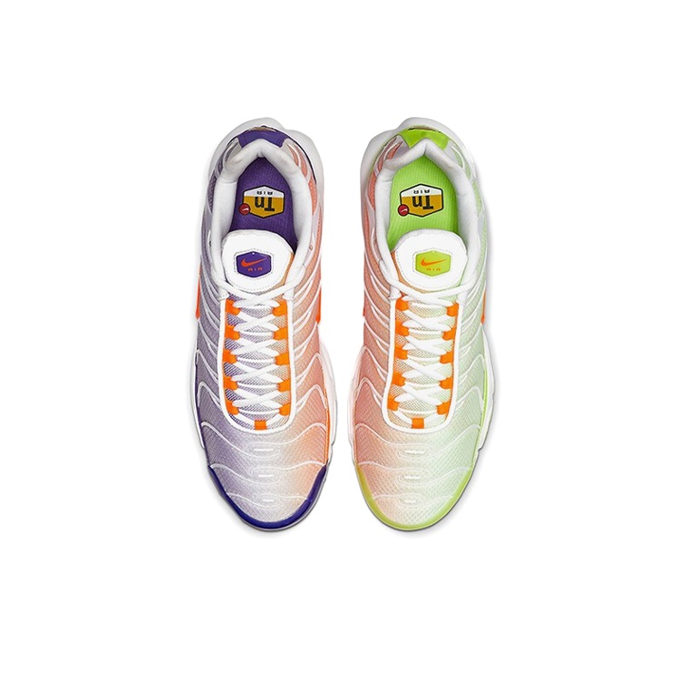 Nike Air Max Plus Color Flip - вид сзади