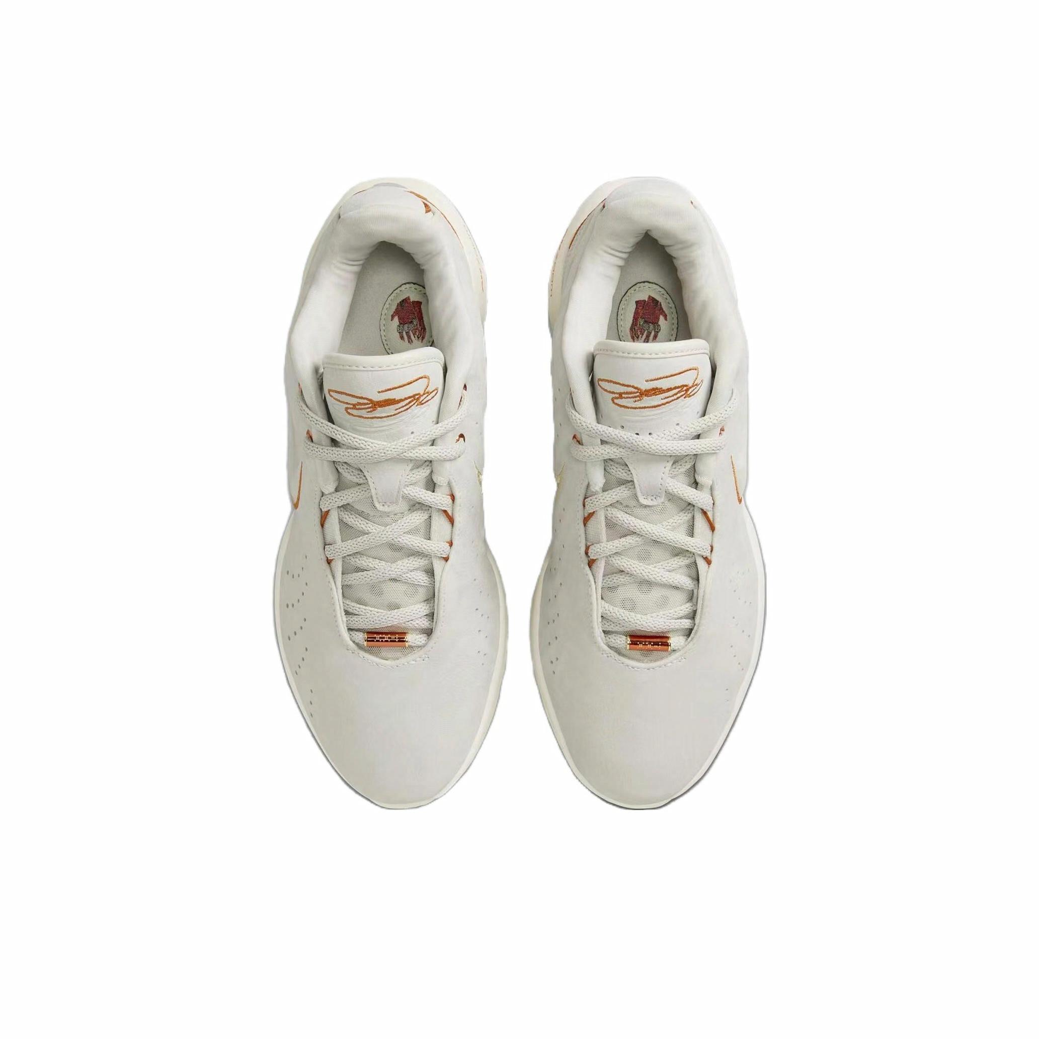 Nike LeBron 21 EP 'Akoya' - вид сзади